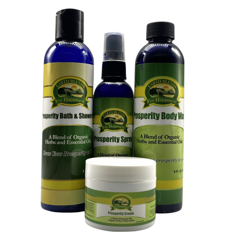 Money Magnet Bundle (M)